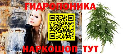 прущие крисы Рыбинск