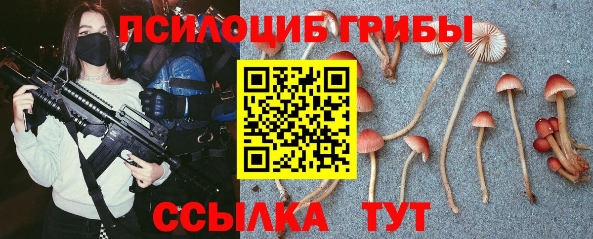 Псилоцибиновые грибы прущие грибы  Вход с VPN  Мыски 
