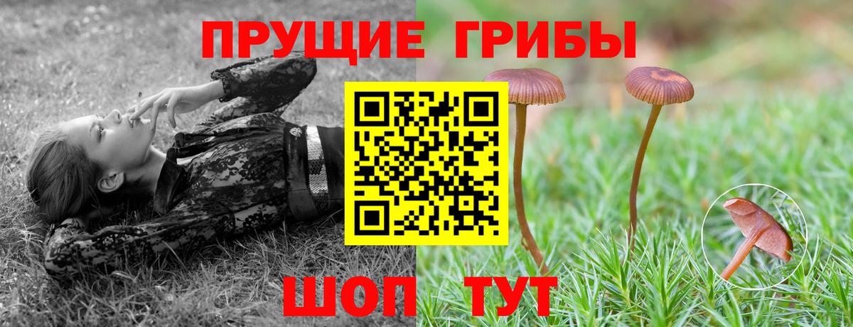 Псилоцибиновые грибы Magic Shrooms Мыски